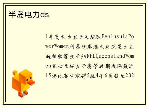 半岛电力ds